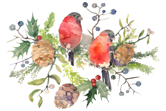 Christmas Bouquet with Bullfinch Watercolor Illustrations