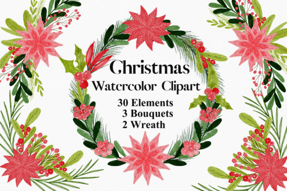 Christmas Watercolor Flower Clipart